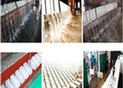 北京上海热到发烫?来家邦制冰厂,解决你的难题!